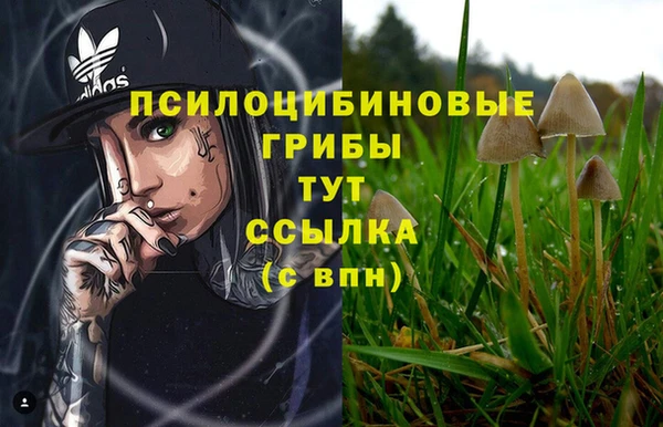 jwh Михайловск