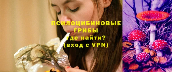 амф Абинск