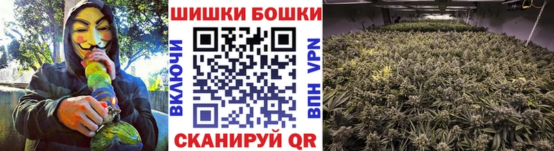 где найти наркотики  shop Telegram  Канабис сатива  Торопец 